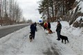 Hundpromenad med pasage 20110226 1 (Small).jpg