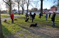 Ligg i parken 3 (Small).jpg