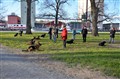 Ligg i parken (Small).jpg