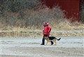 Micke med Boss 20120317 (Small).jpg