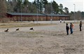 Platsliggning med mattarna 20110416 (Small).jpg