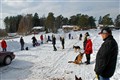 Samling hundkursen våren 2011 (Small).jpg